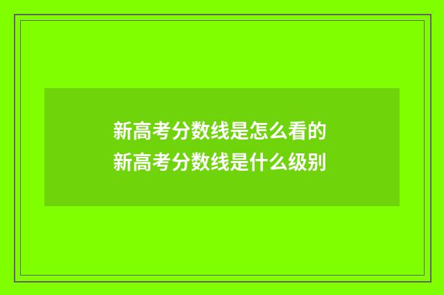新高考分数线是怎么看的 新高考分数线是什么级别