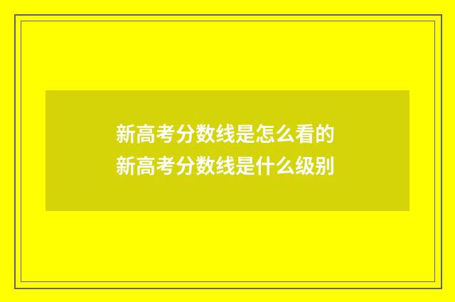 新高考分数线是怎么看的 新高考分数线是什么级别