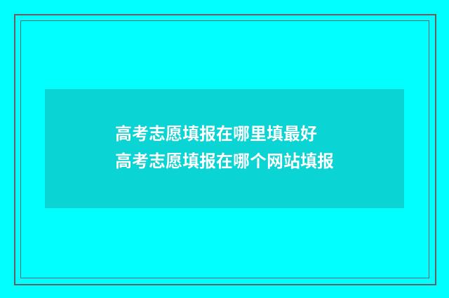 高考志愿填报在哪里填最好 高考志愿填报在哪个网站填报