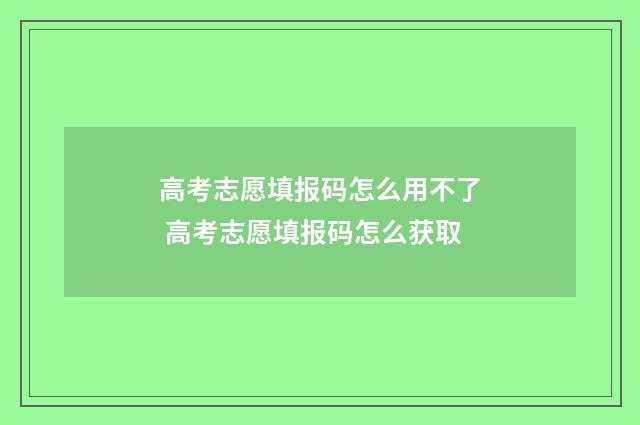 高考志愿填报码怎么用不了 高考志愿填报码怎么获取