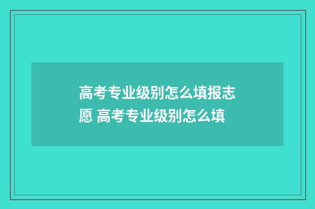 高考专业级别怎么填报志愿 高考专业级别怎么填
