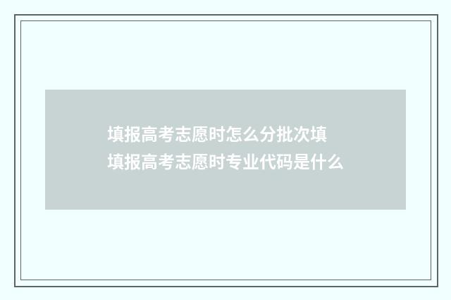 填报高考志愿时怎么分批次填 填报高考志愿时专业代码是什么
