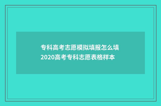 专科高考志愿模拟填报怎么填 2020高考专科志愿表格样本