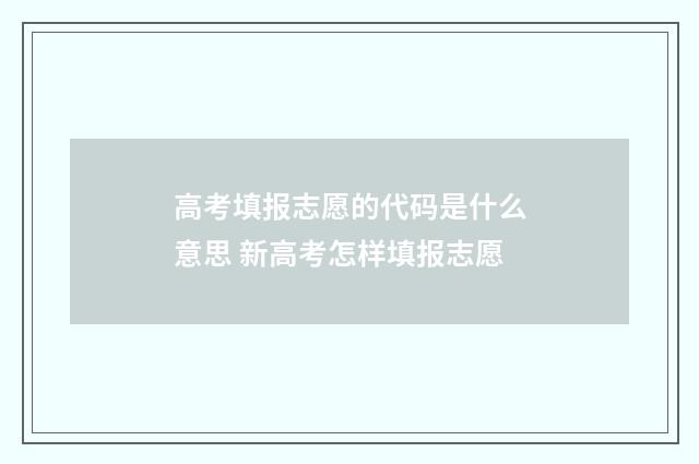 高考填报志愿的代码是什么意思 新高考怎样填报志愿