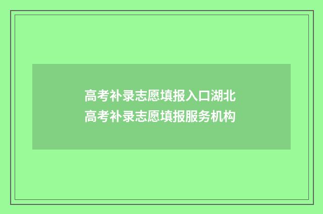 高考补录志愿填报入口湖北 高考补录志愿填报服务机构