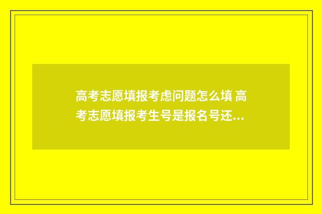 高考志愿填报考虑问题怎么填 高考志愿填报考生号是报名号还是准考证号