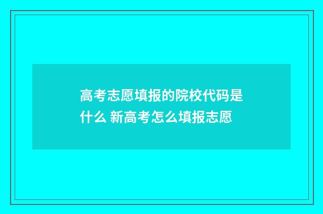 高考志愿填报的院校代码是什么 新高考怎么填报志愿