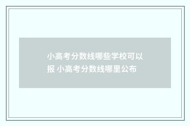 小高考分数线哪些学校可以报 小高考分数线哪里公布