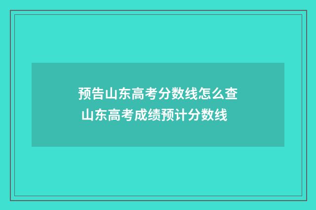 预告山东高考分数线怎么查 山东高考成绩预计分数线