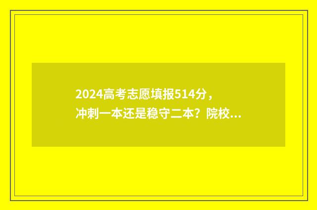 2024高考志愿填报514分，冲刺一本还是稳守二本？院校及专业推荐 高考e志愿