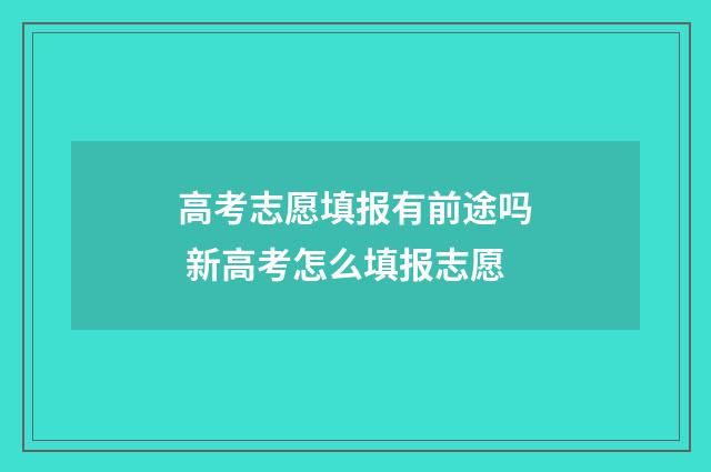 高考志愿填报有前途吗 新高考怎么填报志愿