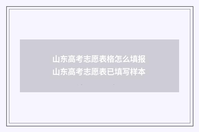 山东高考志愿表格怎么填报 山东高考志愿表已填写样本
