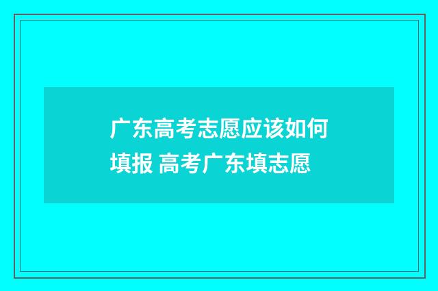 广东高考志愿应该如何填报 高考广东填志愿