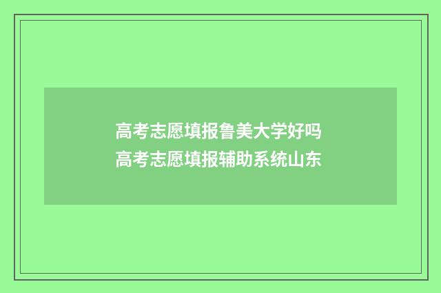 高考志愿填报鲁美大学好吗 高考志愿填报辅助系统山东