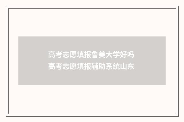 高考志愿填报鲁美大学好吗 高考志愿填报辅助系统山东