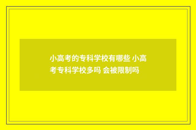 小高考的专科学校有哪些 小高考专科学校多吗 会被限制吗