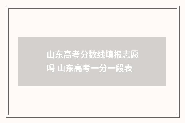 山东高考分数线填报志愿吗 山东高考一分一段表