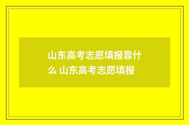山东高考志愿填报靠什么 山东高考志愿填报
