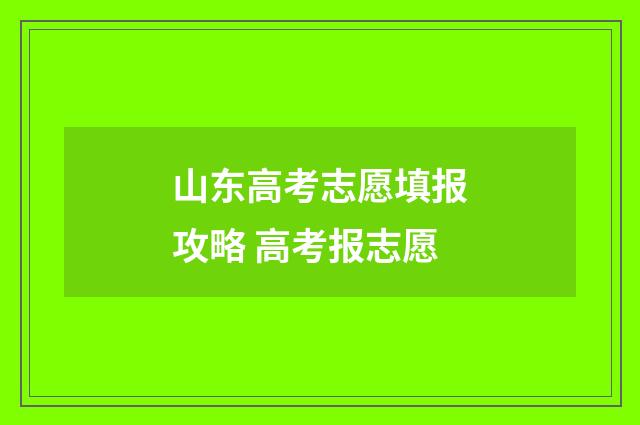 山东高考志愿填报攻略 高考报志愿