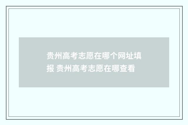贵州高考志愿在哪个网址填报 贵州高考志愿在哪查看