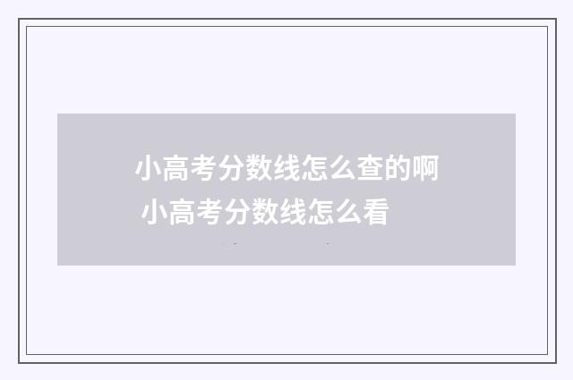 小高考分数线怎么查的啊 小高考分数线怎么看
