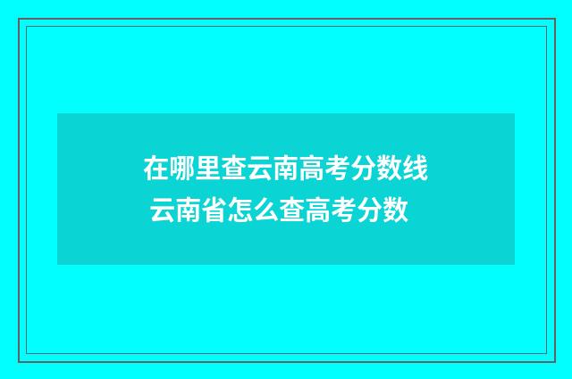 在哪里查云南高考分数线 云南省怎么查高考分数