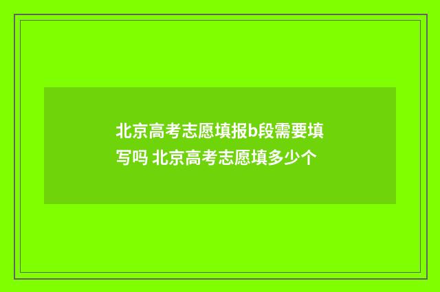 北京高考志愿填报b段需要填写吗 北京高考志愿填多少个