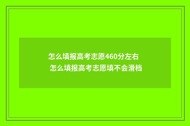 怎么填报高考志愿460分左右 怎么填报高考志愿填不会滑档