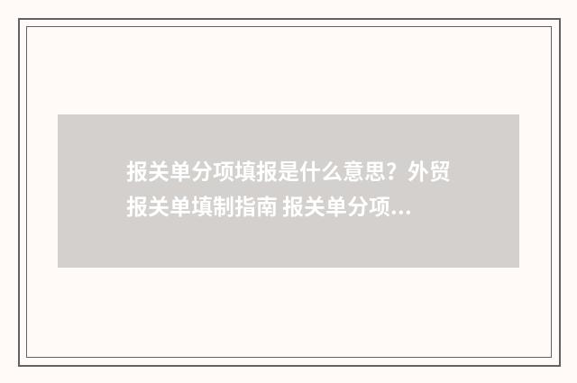 报关单分项填报是什么意思？外贸报关单填制指南 报关单分项填报的情况