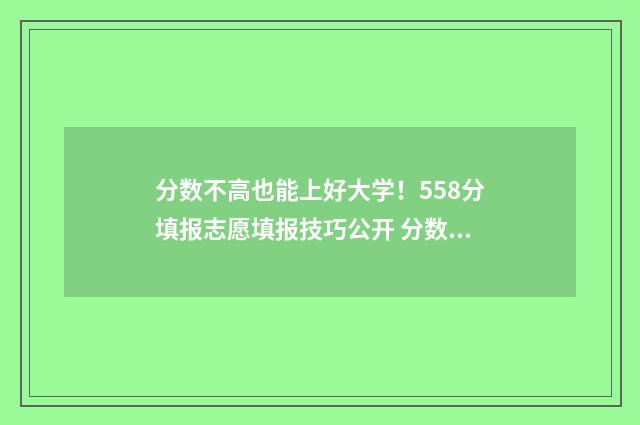 分数不高也能上好大学！558分填报志愿填报技巧公开 分数不高也能上的大学