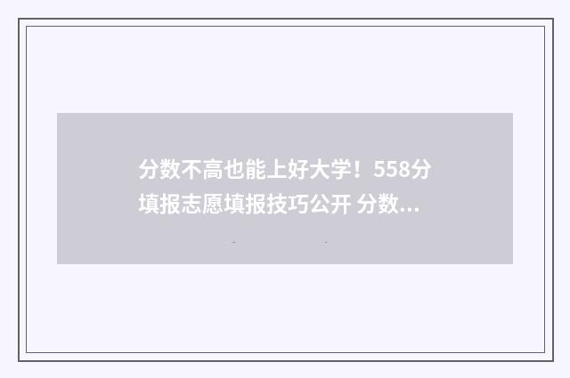 分数不高也能上好大学！558分填报志愿填报技巧公开 分数不高也能上的大学