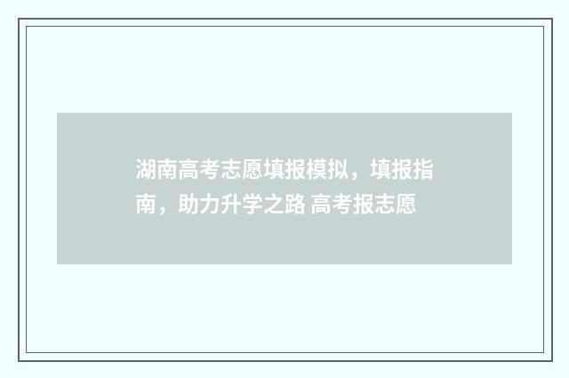 湖南高考志愿填报模拟，填报指南，助力升学之路 高考报志愿