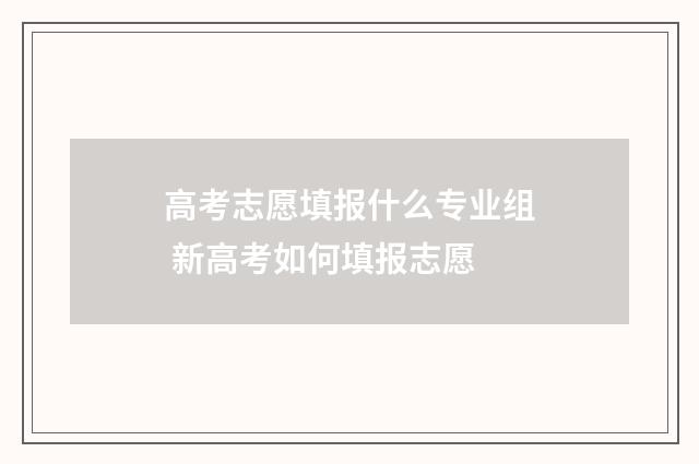 高考志愿填报什么专业组 新高考如何填报志愿