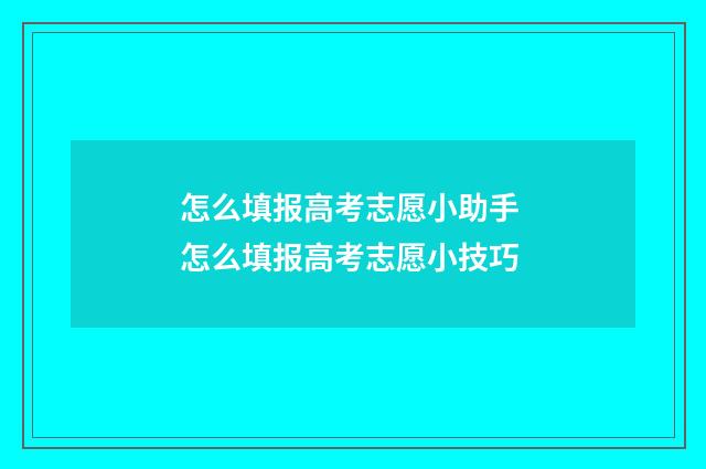 怎么填报高考志愿小助手 怎么填报高考志愿小技巧