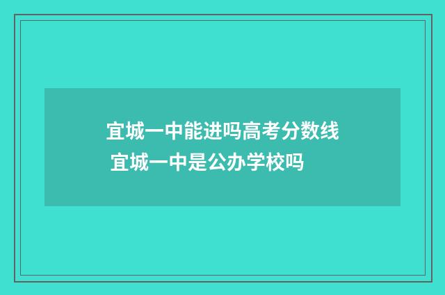 宜城一中能进吗高考分数线 宜城一中是公办学校吗