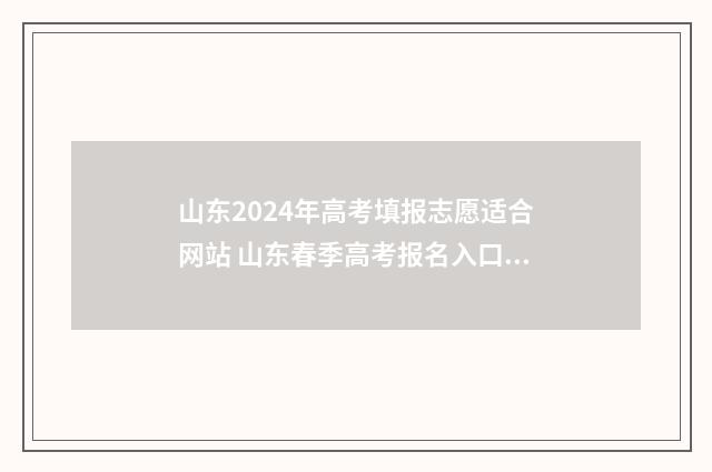 山东2024年高考填报志愿适合网站 山东春季高考报名入口官网