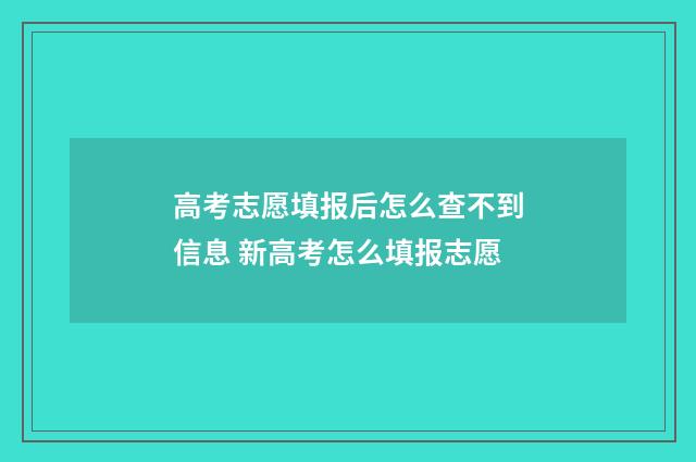 高考志愿填报后怎么查不到信息 新高考怎么填报志愿