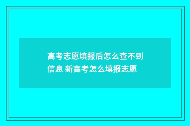 高考志愿填报后怎么查不到信息 新高考怎么填报志愿
