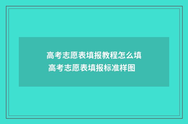 高考志愿表填报教程怎么填 高考志愿表填报标准样图