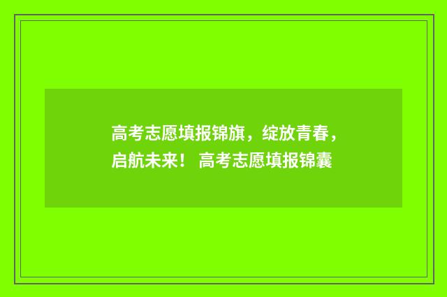 高考志愿填报锦旗，绽放青春，启航未来！ 高考志愿填报锦囊