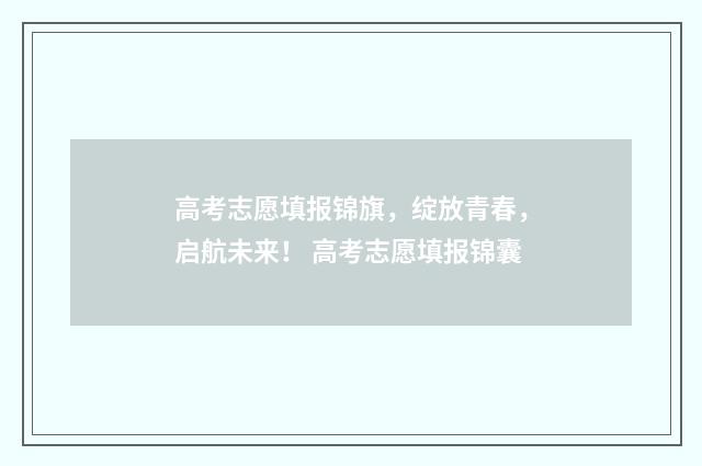 高考志愿填报锦旗，绽放青春，启航未来！ 高考志愿填报锦囊