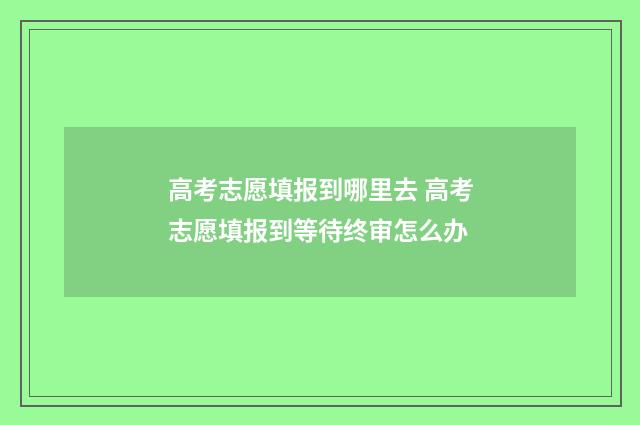 高考志愿填报到哪里去 高考志愿填报到等待终审怎么办