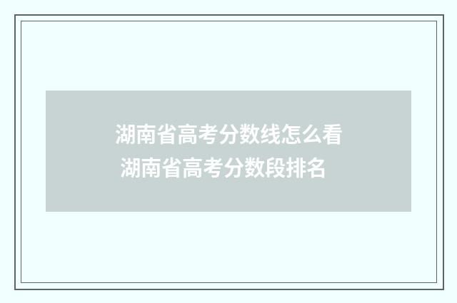湖南省高考分数线怎么看 湖南省高考分数段排名
