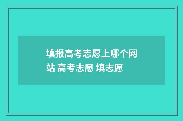 填报高考志愿上哪个网站 高考志愿 填志愿
