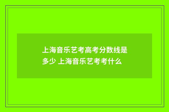 上海音乐艺考高考分数线是多少 上海音乐艺考考什么
