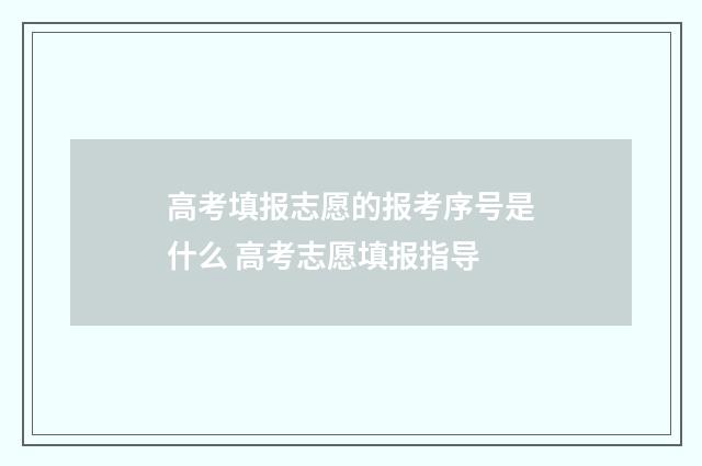 高考填报志愿的报考序号是什么 高考志愿填报指导