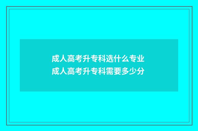成人高考升专科选什么专业 成人高考升专科需要多少分