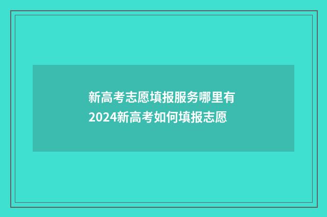 新高考志愿填报服务哪里有 2024新高考如何填报志愿