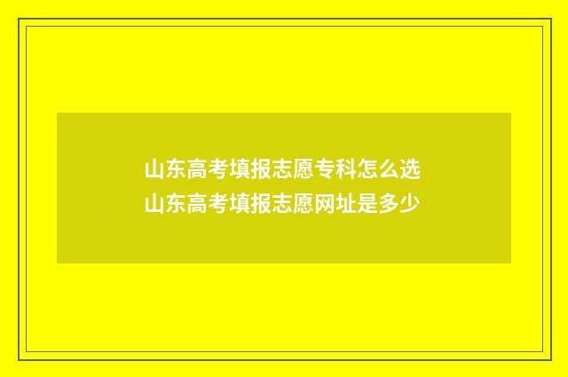 山东高考填报志愿专科怎么选 山东高考填报志愿网址是多少