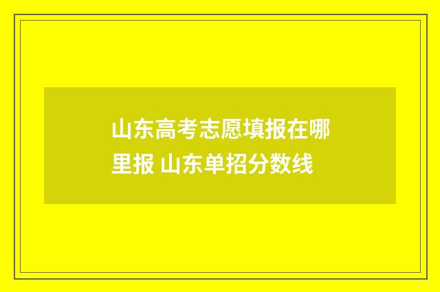 山东高考志愿填报在哪里报 山东单招分数线